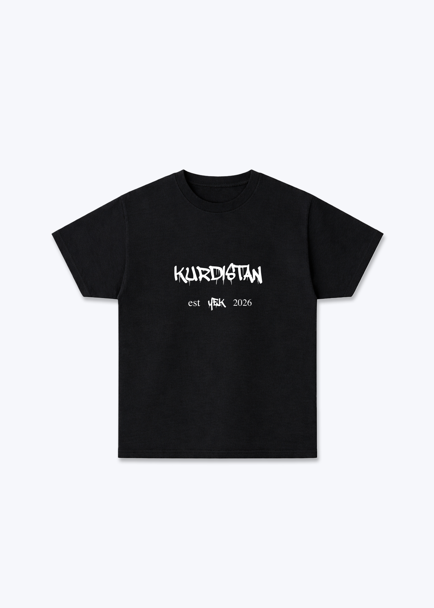 Hidden Roots T-Shirt - Black Front (Designed)