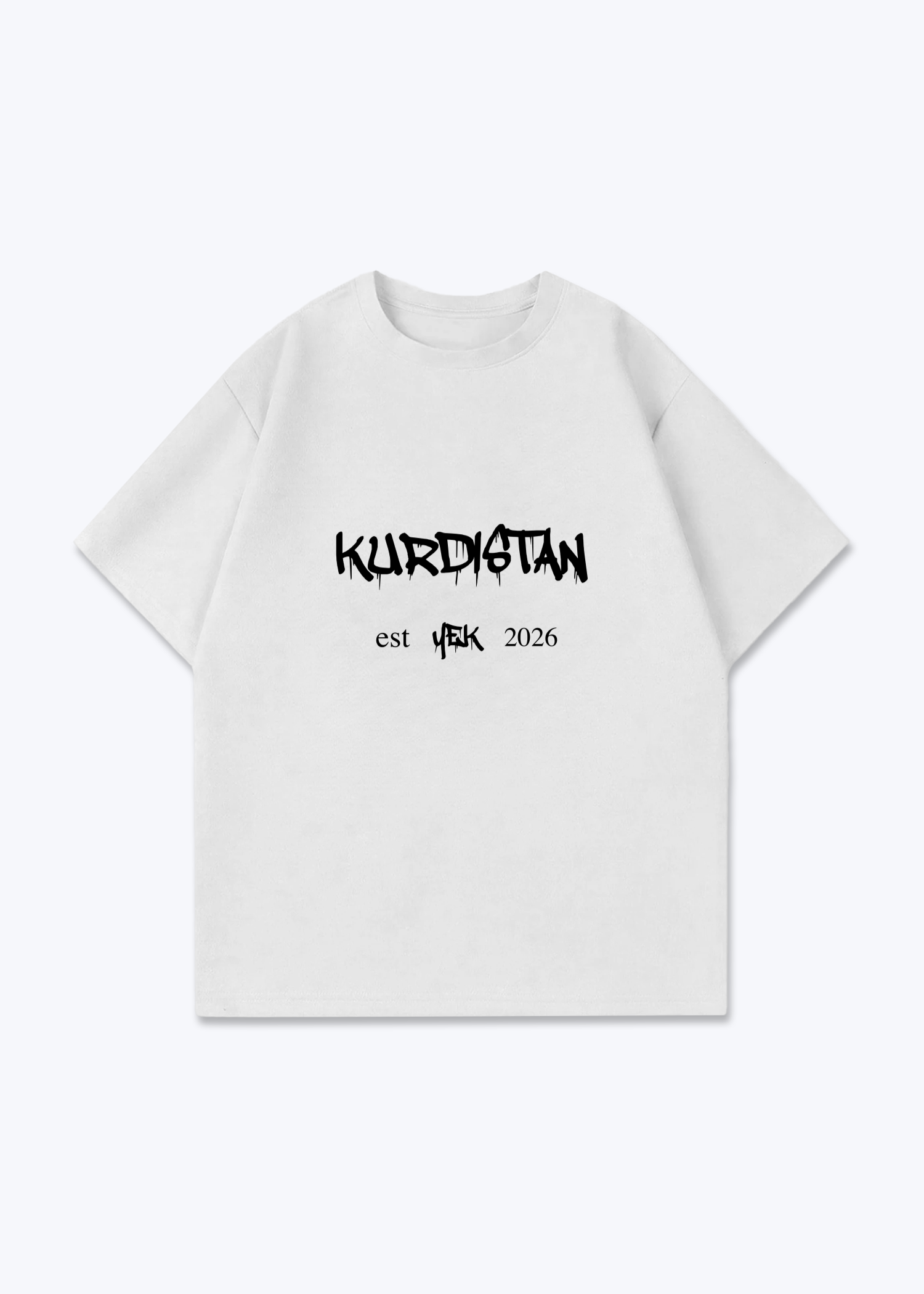Hidden Roots Oversized T-Shirt - White Front (Designed)