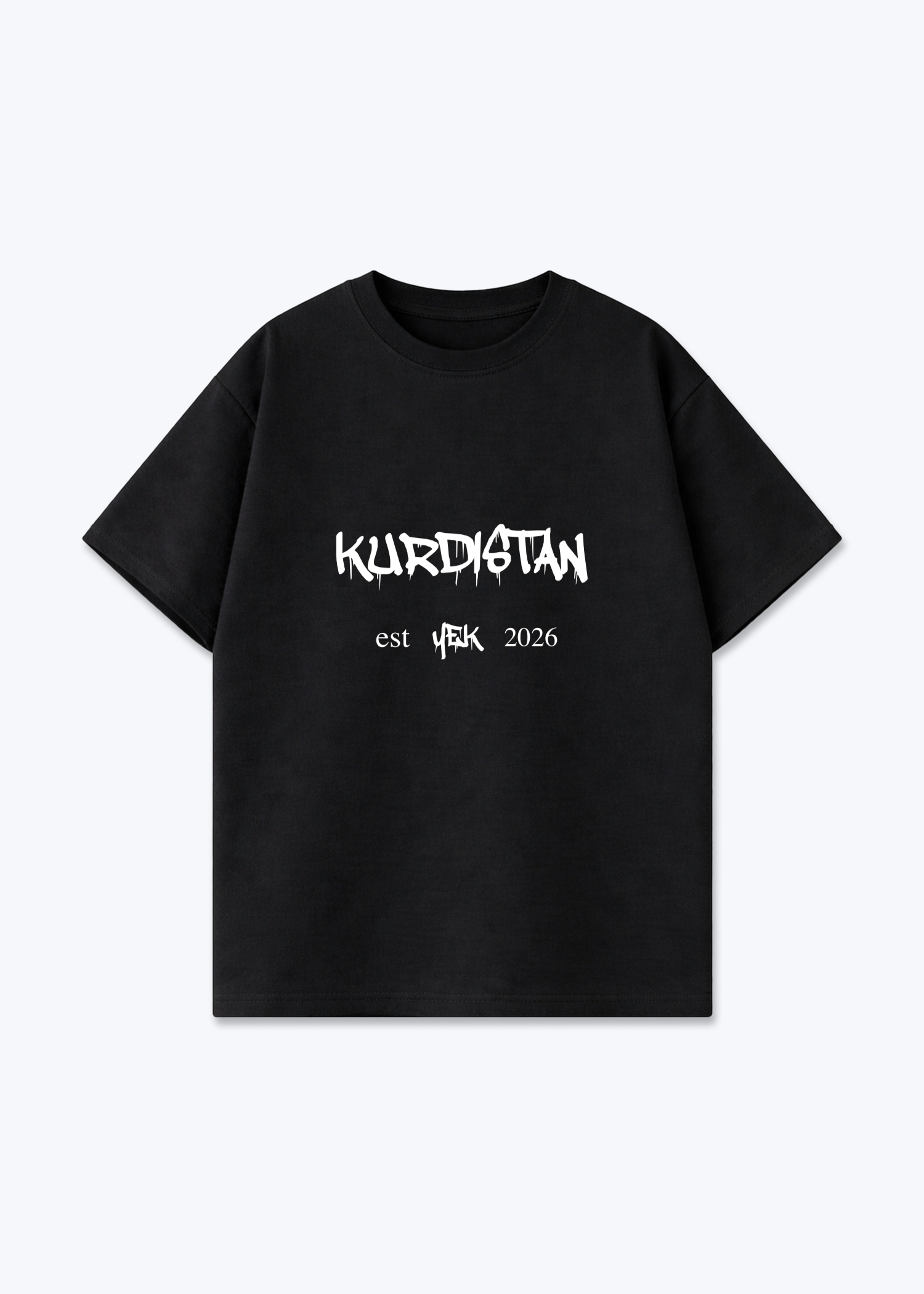 Hidden Roots Oversized T-Shirt - Black Front (Designed)